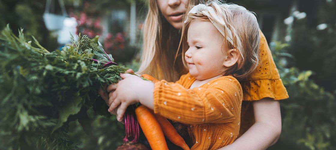 Food Trends 2025- Was und wie wir in Zukunft essen werden