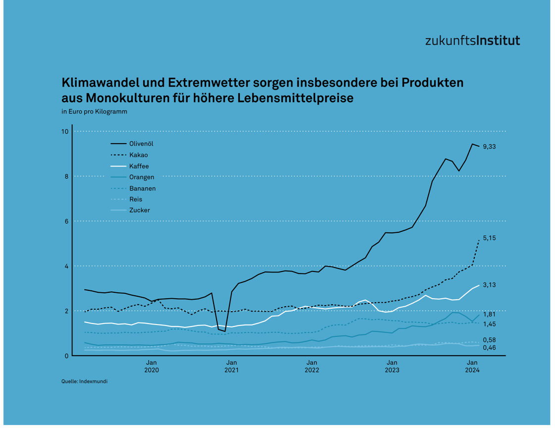 FR25 Infografik Klimawandel Monokultur Lebensmittelpreise