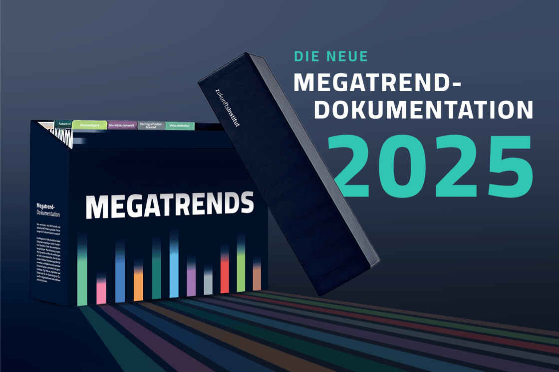 MegatrendDokumentation2025_PNL_Header-1