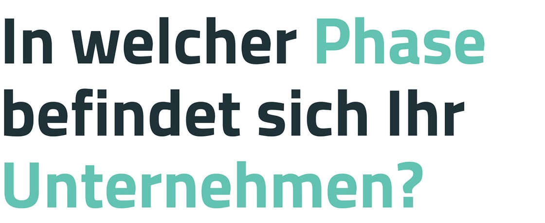 Header-Zitat Newsletter Welche Phase Lazy8