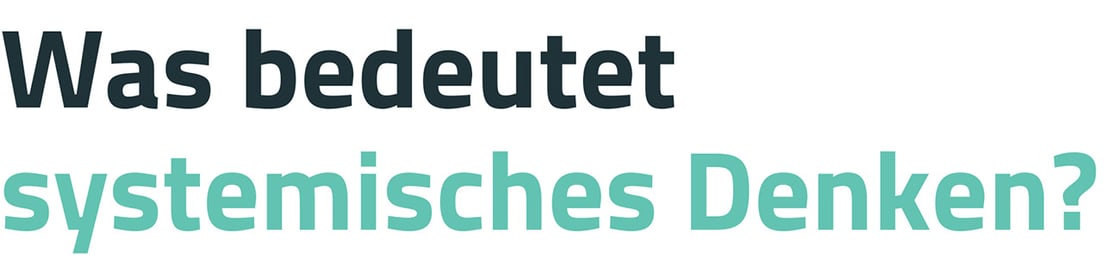 Header-Zitat Newsletter systemisches Denken